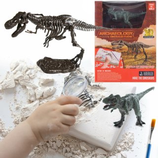 WYKOPALISKA PALEONTOLOG DINOZAUR TRIFOX
