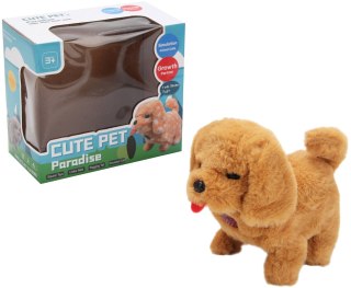 PIESEK NA BATERIE TRIFOX