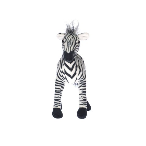 ZEBRA Marka niezdefiniowana ZEBRA Marka niezdefiniowana