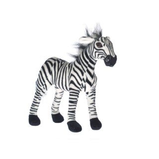 ZEBRA Marka niezdefiniowana