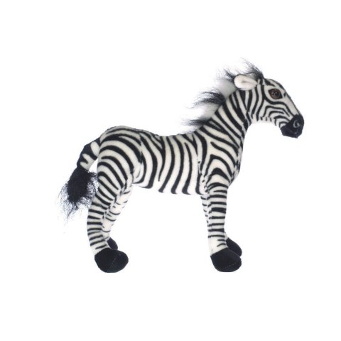 ZEBRA Marka niezdefiniowana ZEBRA Marka niezdefiniowana