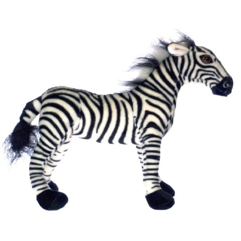ZEBRA Marka niezdefiniowana ZEBRA Marka niezdefiniowana