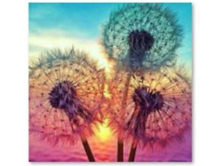 Haft Diamentowy, Obraz, Mozaika Diamentowa Diamond Painting, DMUCHAWCE 30x30cm DK