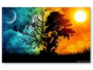 Haft Diamentowy, Obraz, Mozaika Diamentowa Diamond Painting, DRZEWO - NOC i DZIEŃ 40x30cm DK