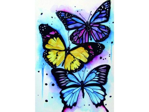 Haft Diamentowy, Obraz, Mozaika Diamentowa Diamond Painting, KOLOROWE MOTYLE 30x40cm DK