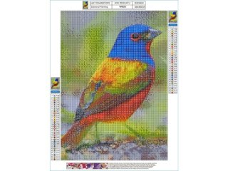 Haft Diamentowy, Obraz, Mozaika Diamentowa Diamond Painting, KOLOROWY PTAK 30x40cm DK