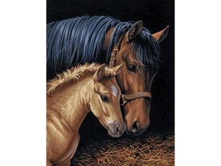 Haft Diamentowy, Obraz, Mozaika Diamentowa Diamond Painting, KOŃ I ŹREBIĘ 30x40cm DK