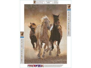 Haft Diamentowy, Obraz, Mozaika Diamentowa Diamond Painting, KONIE W GALOPIE 30x40cm DK