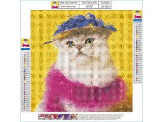 Haft Diamentowy, Obraz, Mozaika Diamentowa Diamond Painting, KOT W KAPELUSZU 30x30cm DK