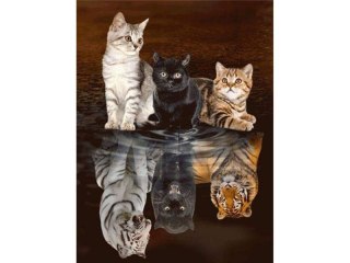 Haft Diamentowy, Obraz, Mozaika Diamentowa Diamond Painting, ODBICIE LUSTRZANE - TRZY KOTY 30x40cm DK