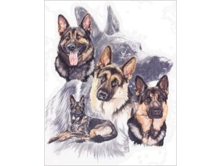 Haft Diamentowy, Obraz, Mozaika Diamentowa Diamond Painting, OWCZARKI NIEMIECKIE 30x40cm DK