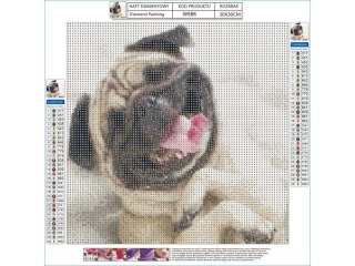 Haft Diamentowy, Obraz, Mozaika Diamentowa Diamond Painting, PIES MOPS 30x30cm DK