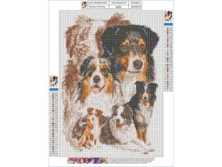 Haft Diamentowy, Obraz, Mozaika Diamentowa Diamond Painting, PIES - OWCZAREK AUSTRALIJSKI 30x40cm DK