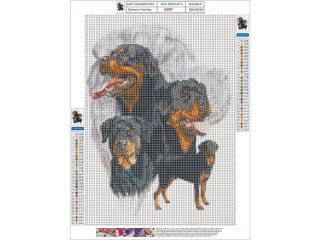 Haft Diamentowy, Obraz, Mozaika Diamentowa Diamond Painting, PIES - ROTTWEILER 30x40cm DK