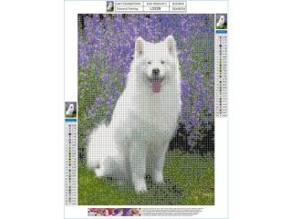 Haft Diamentowy, Obraz, Mozaika Diamentowa Diamond Painting, PIES SAMOYED 30x40cm DK