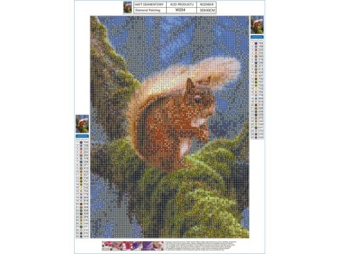 Haft Diamentowy, Obraz, Mozaika Diamentowa Diamond Painting, WIEWIÓRKA 30x40cm DK Haft Diamentowy, Obraz, Mozaika Diamentowa Diamond Painting, WIEWIÓRKA 30x40cm DK