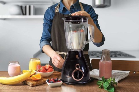 BLENDER BERLINGER HAUS BH-9025 BLACK ROSE BERLINGER HAUS