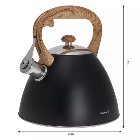 CZAJNIK Z GWIZDKIEM KLAUSBERG 3L KB-7262 KLAUSBERG CZAJNIK Z GWIZDKIEM KLAUSBERG 3L KB-7262 KLAUSBERG