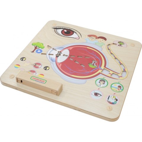 MASTERKIDZ Tablica Edukacyjna Zmysł Wzroku Montessori Masterkidz MASTERKIDZ Tablica Edukacyjna Zmysł Wzroku Montessori Masterkidz