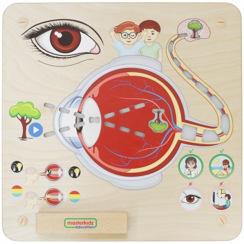 MASTERKIDZ Tablica Edukacyjna Zmysł Wzroku Montessori Masterkidz MASTERKIDZ Tablica Edukacyjna Zmysł Wzroku Montessori Masterkidz