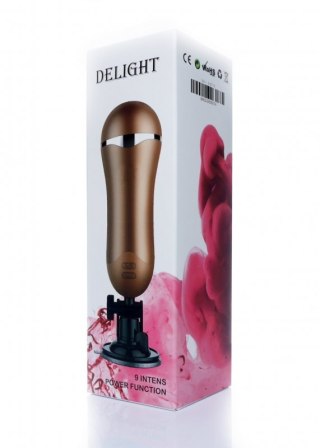 Masturbator-Vagina Delight 9-function USB Boss of toys