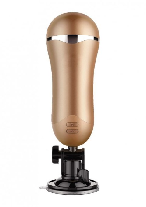 Masturbator-Vagina Delight 9-function USB Boss of toys