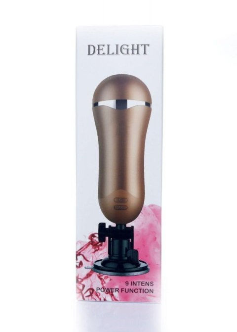 Masturbator-Vagina Delight 9-function USB Boss of toys
