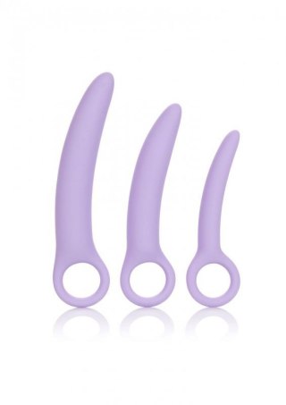 Alena Set of 3 Dilators Purple Boss of toys
