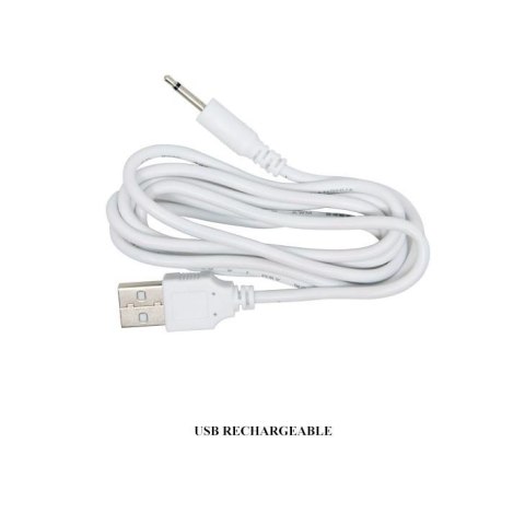 PRETTY LOVE - TERNENCE USB PURPLE 4 rot. 12 vibration Boss of toys