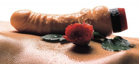 Natural Vibrator Boss of toys Natural Vibrator Boss of toys