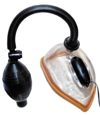 Vibrating Vagina Sucker Boss of toys