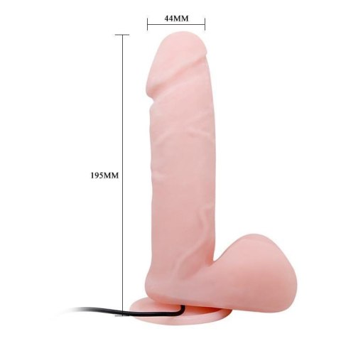 BAILE - Dong Vibrating Boss of toys