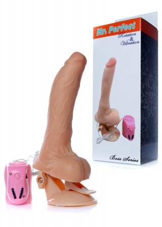 Wibrator-Mr. Perfect Rotation & Vibration Boss of toys