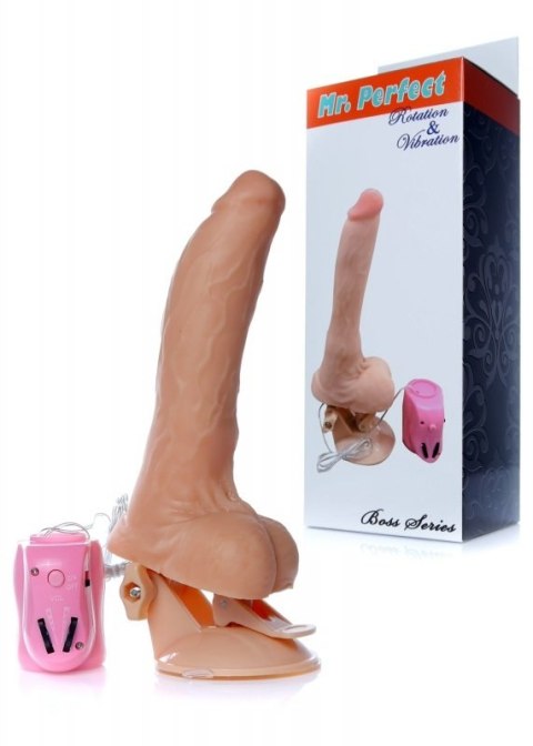Wibrator-Mr. Perfect Rotation & Vibration Boss of toys