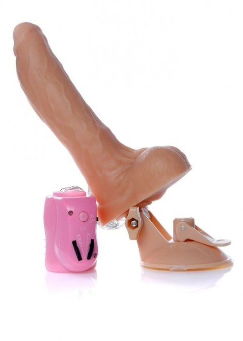 Wibrator-Mr. Perfect Rotation & Vibration Boss of toys