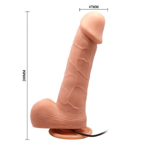 BAILE- BARBARA Ken 7,8&#039;&#039; Boss of toys