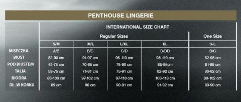 Bielizna-Teaser black S/M PENTHOUSE Boss of toys Bielizna-Teaser black S/M PENTHOUSE Boss of toys