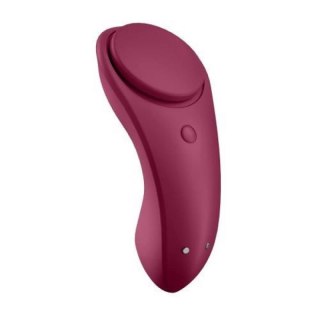 Sexy Secret Panty Vibrator Boss of toys