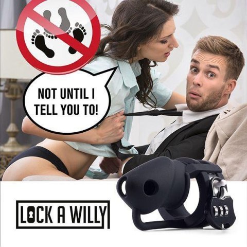 Lock-a-Willy Boss of toys Lock-a-Willy Boss of toys