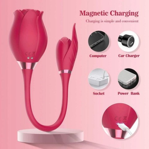 Miss Coyness USB 10 function Boss of toys