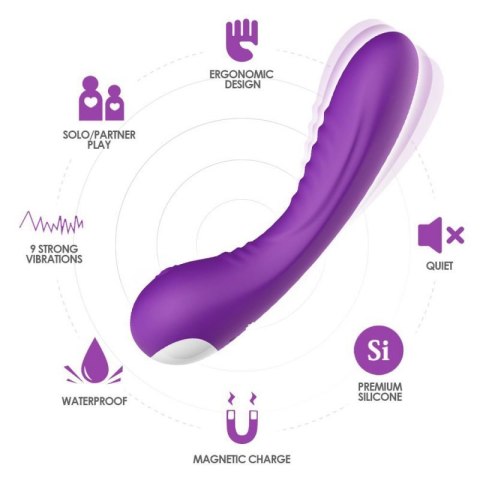 Legend purple Boss of toys