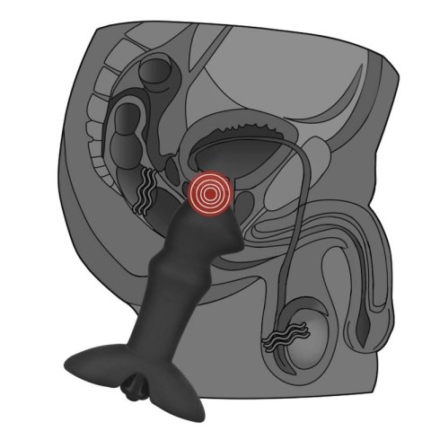 Anal Indulgence Collection Prostate Stud Boss of toys Anal Indulgence Collection Prostate Stud Boss of toys