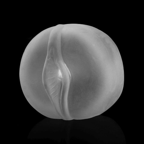 Maximizer Worx VX5 Rechargeable Pump Vagina Lovetoy