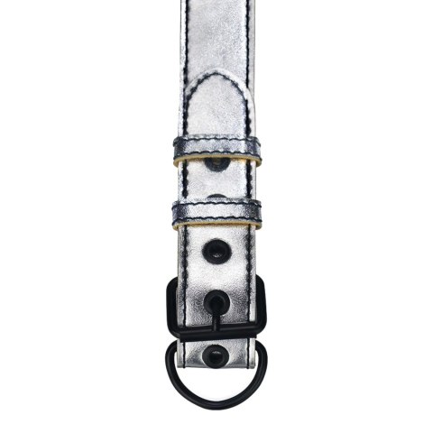 Bondage Fetish Metallic Pup Collar With Leash Lovetoy Bondage Fetish Metallic Pup Collar With Leash Lovetoy
