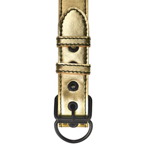 Bondage Fetish Metallic Pup Collar With Leash Lovetoy Bondage Fetish Metallic Pup Collar With Leash Lovetoy