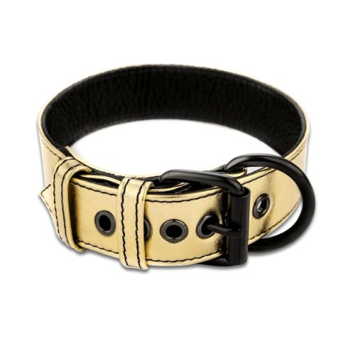 Bondage Fetish Metallic Pup Collar With Leash Lovetoy Bondage Fetish Metallic Pup Collar With Leash Lovetoy