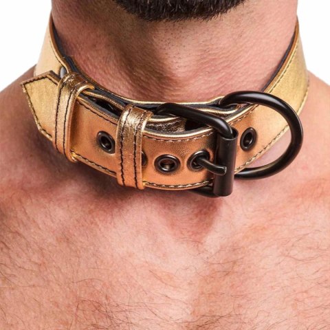 Bondage Fetish Metallic Pup Collar With Leash Lovetoy Bondage Fetish Metallic Pup Collar With Leash Lovetoy