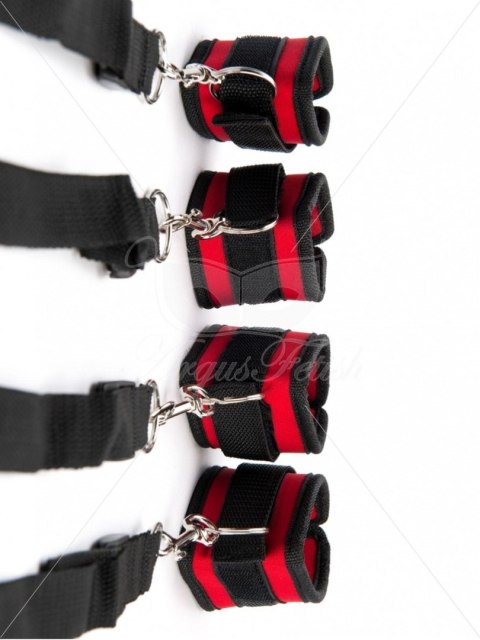 Red Wrist And Ankle Bed Restrain Argus Red Wrist And Ankle Bed Restrain Argus