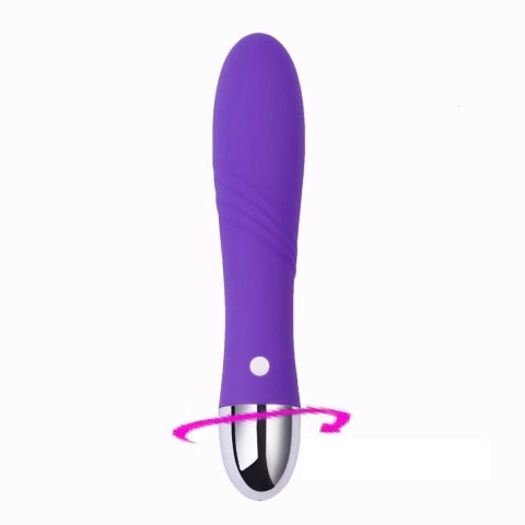 Wibrator - Gigolo USB purple Power Escorts Wibrator - Gigolo USB purple Power Escorts
