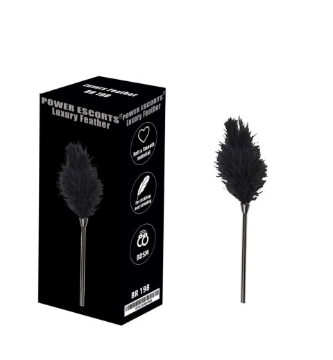 Luxury feather black Power Escorts Luxury feather black Power Escorts